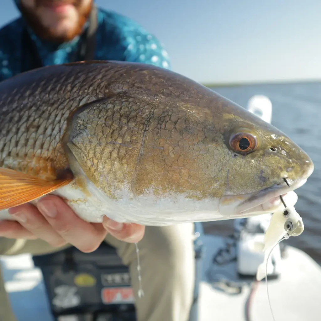 Galveston Bay fishing charter safe and fun fishing experience