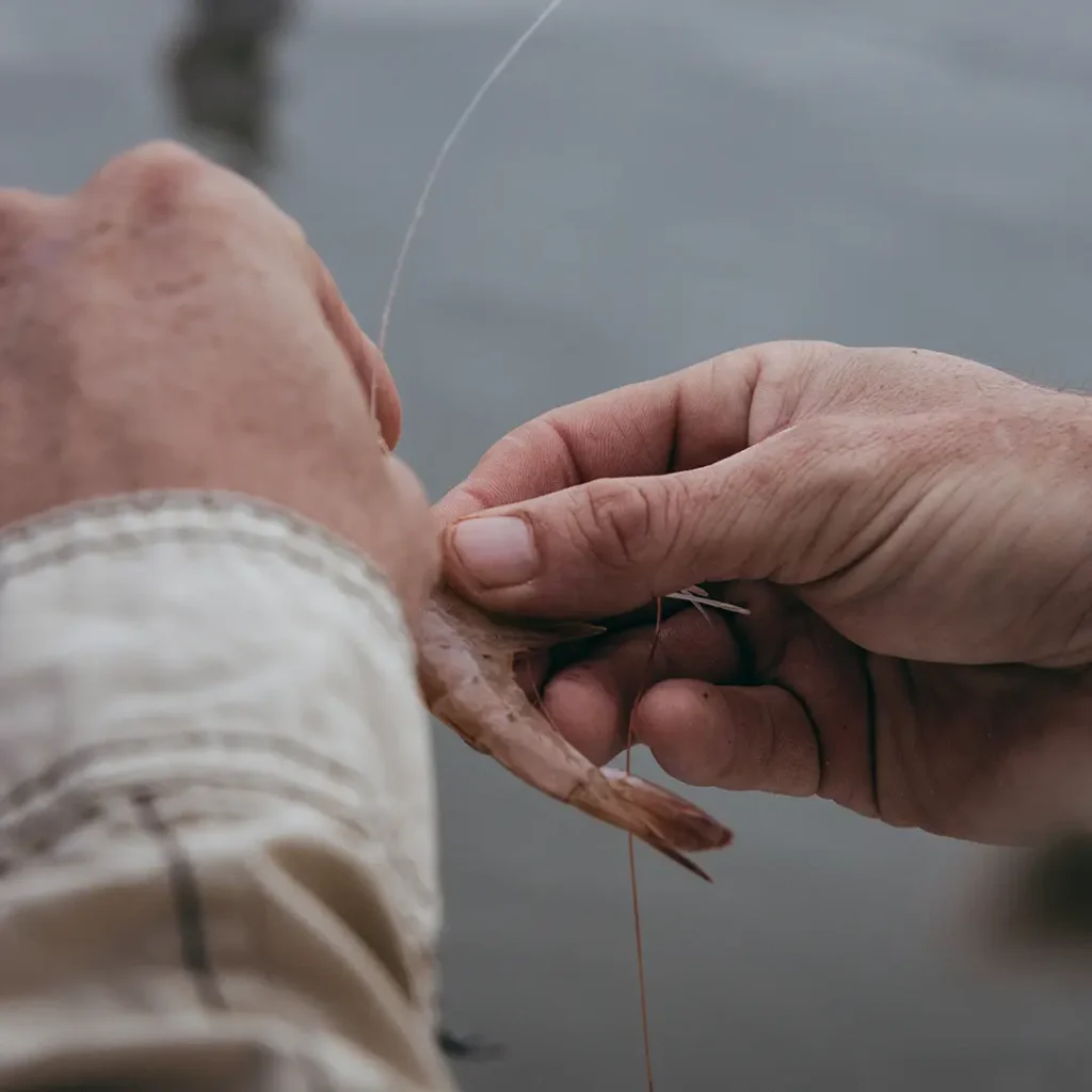 Galveston Bay fishing charter for groups up to four anglers