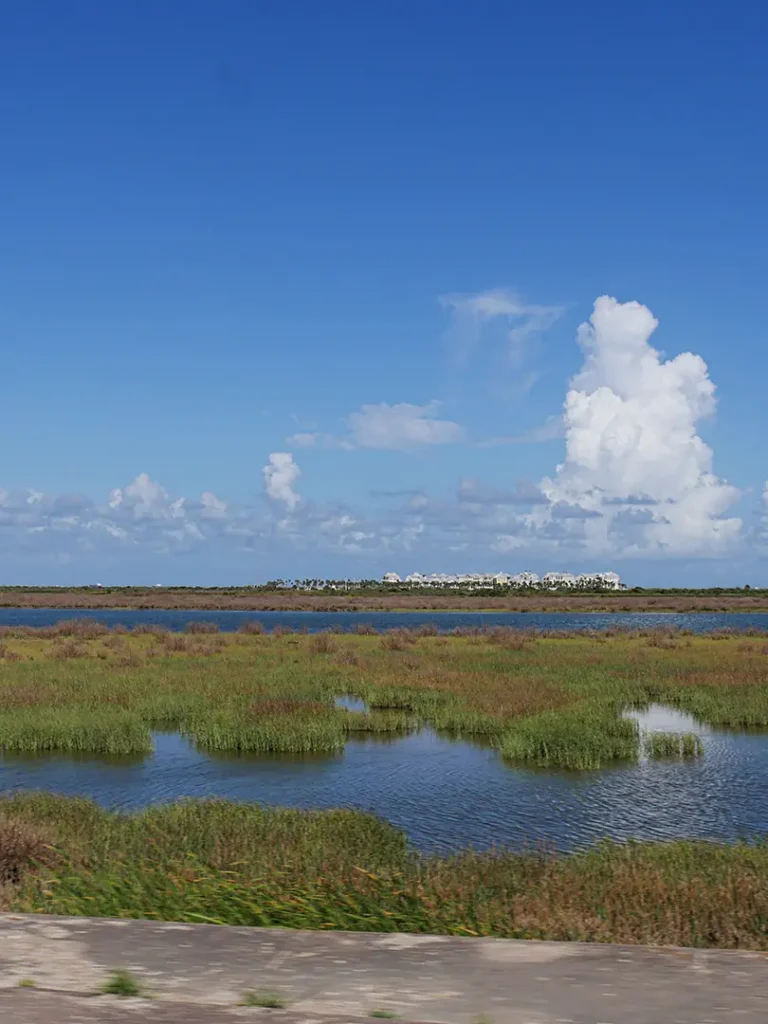 fishing charter Galveston Bay Texas for small groups