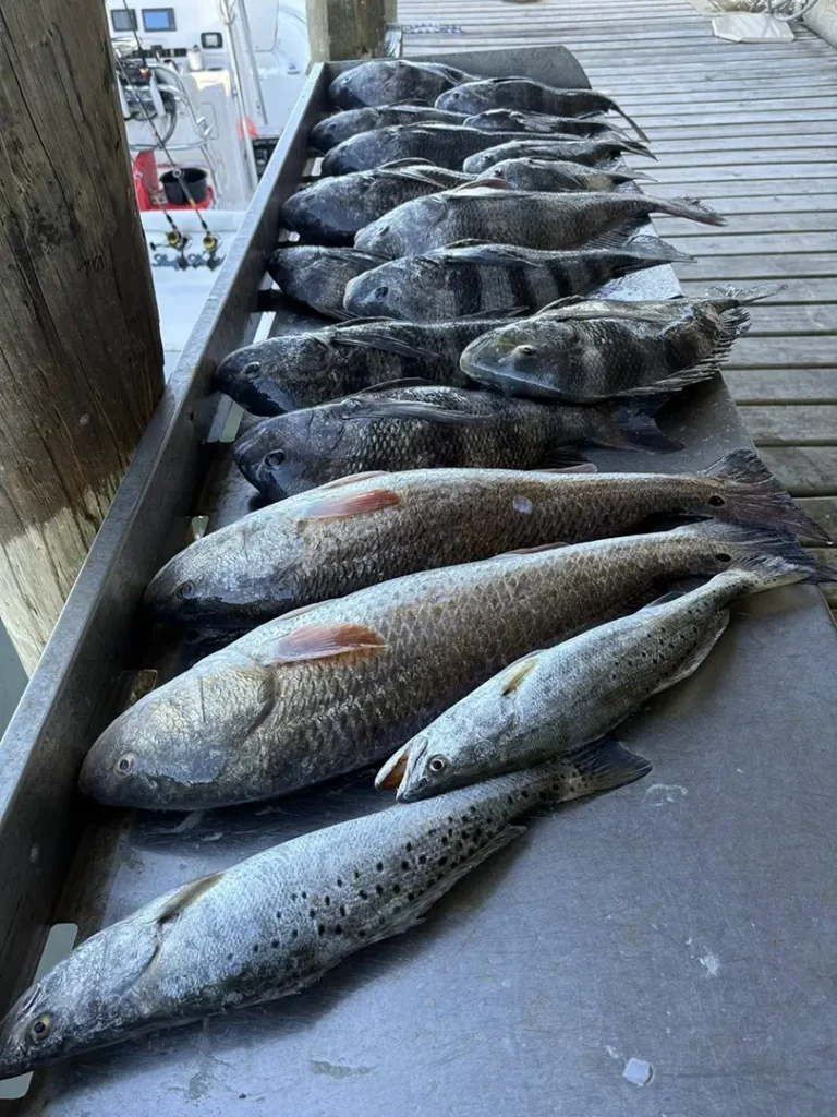 Galveston Bay fishing charter for trophy trout and redfish
