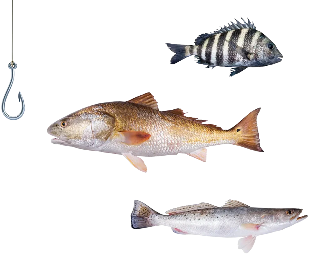 Galveston Bay fishing charter year round fishing action
