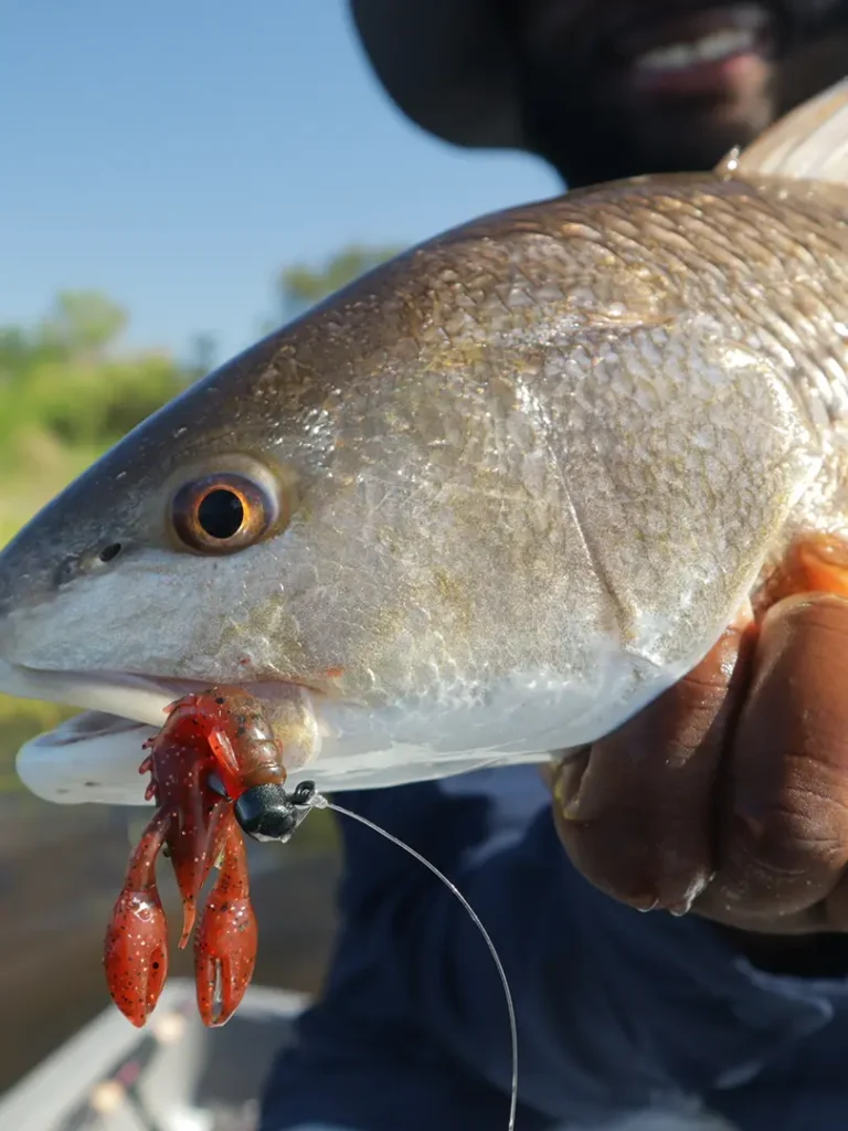 private fishing guide Galveston Bay near Houston Texas charter boat